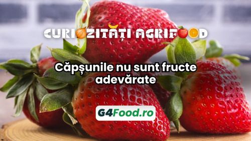 Curiozități agri-food 09 decembrie: Căpșunile nu sunt fructe adevărate