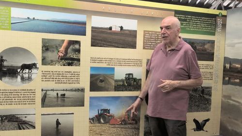 VIDEO | Orezul ca pretext pentru turism: „Bunicul meu trăia din orez, azi e complet nerentabil”. Povestea orezului premium din Delta Ebrului