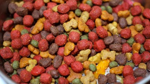 SUA: Vânzări de 65,8 miliarde de dolari în industria hranei pentru animale de companie, în 2024. Amazon, Walmart și Chewy au dominat piața