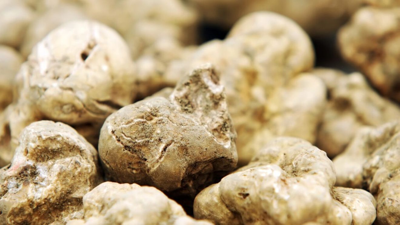 Zece mâncăruri disprețuite care au devenit delicatese / De la hrană pentru săraci la simboluri ale rafinamentului culinar