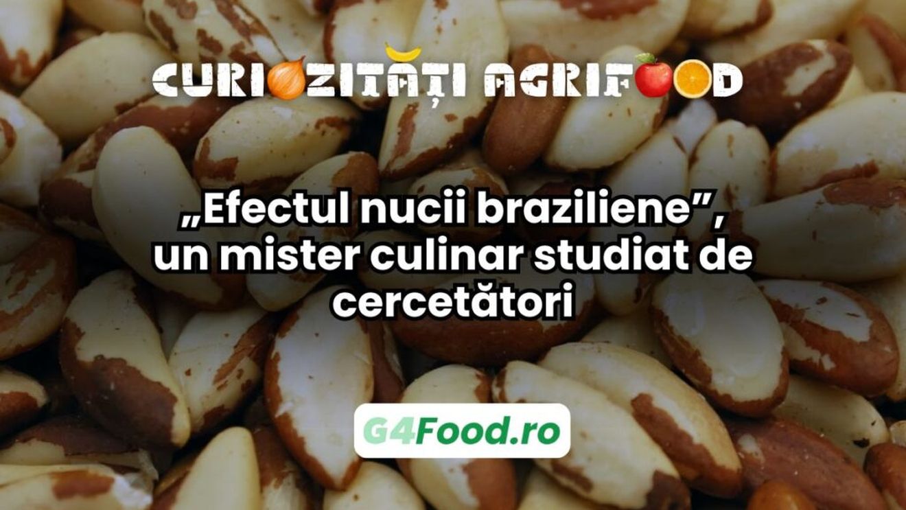 Curiozitate agri-food: „Efectul nucii braziliene”, un mister culinar studiat de cercetători / Nucile braziliene mari rămân la suprafață, în timp ce bucățile mici se duc la fundul recipientului, atunci când sunt mișcate