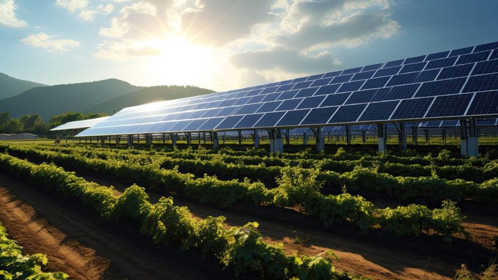 Fermierii și procesatorii pot obține finanțare de până la 100% pentru investiții în energie regenerabilă