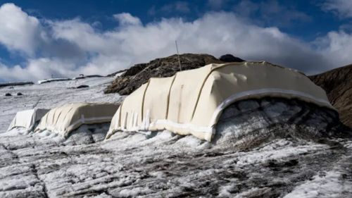 Lâna de oaie, arma ecologică a Elveției împotriva topirii ghețarilor. Experiment de succes în Alpi