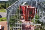 VIDEO | Au construit o casă în interiorul unei sere uriașe. Cum trăiește o familie din Norvegia înconjurată de fructe și legume: „Putem vedea și stelele prin tavanul de sticlă”