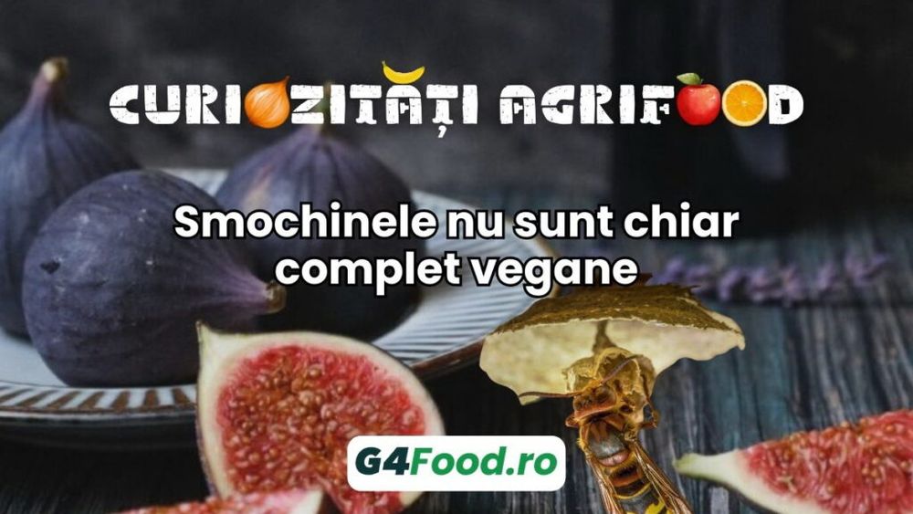 Curiozitate agrifood - 22 iulie: Smochinele sunt fructe, dar nu sunt chiar complet vegane