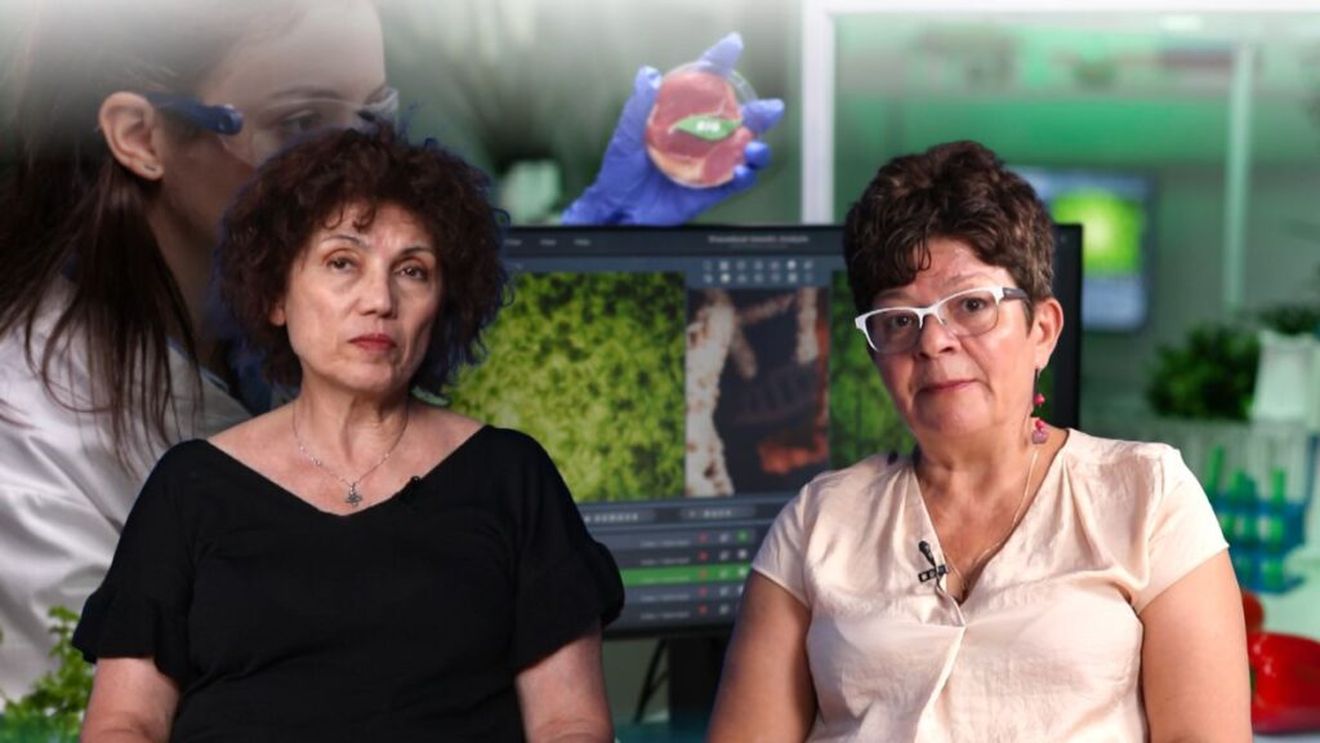 VIDEO | Agricultura în schimbare | Produsele contrafăcute de protecție a plantelor se vând online/ Carmen Botez (director executiv AIPROM): „Aceste produse nu sunt doar o problemă economică, sunt un adevărat pericol”