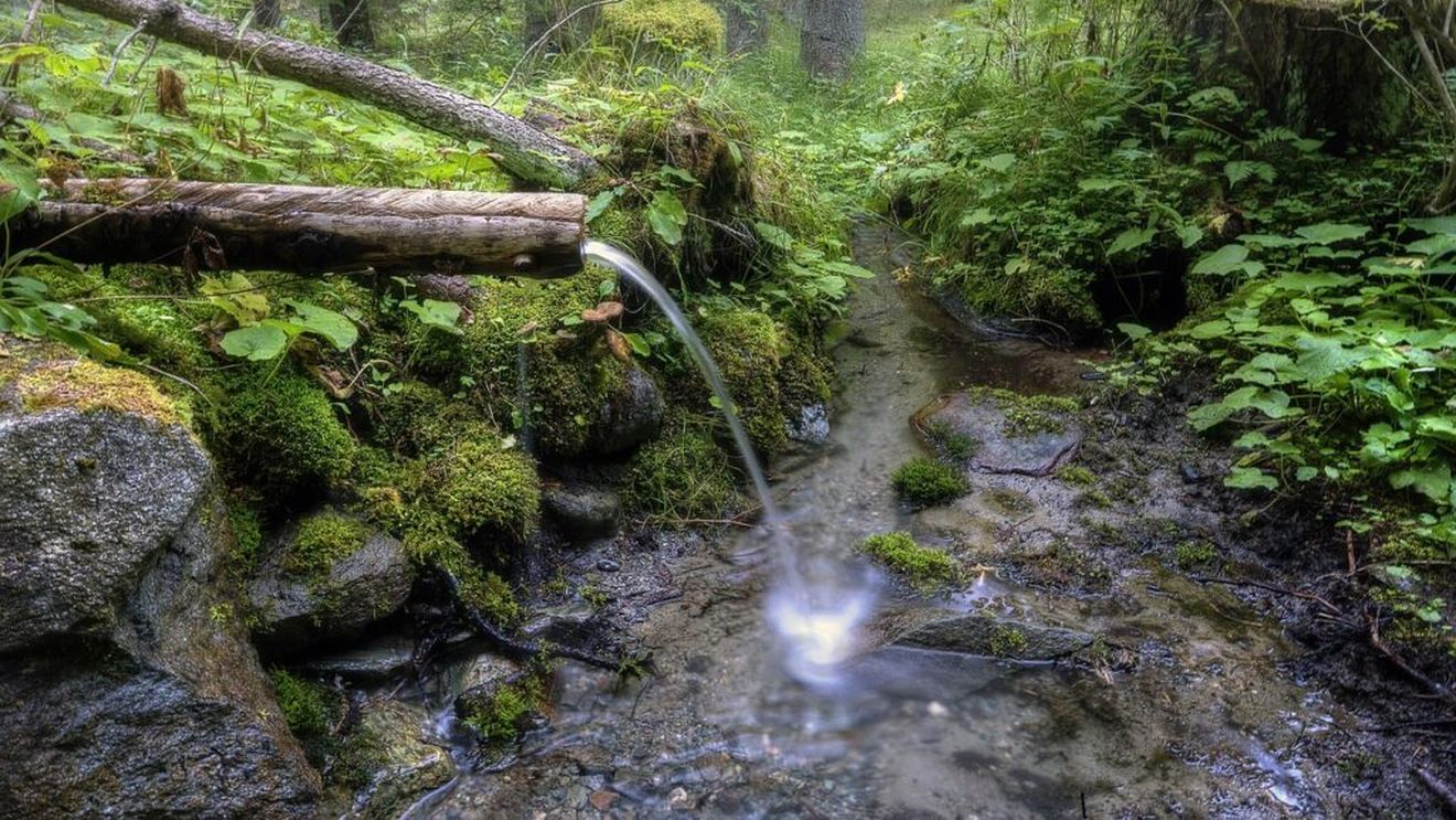 Apele reziduale sunt încărcate cu nutrienți/ Expert: Trebuie să-i „recoltăm” pentru a-i utiliza la fertilizarea culturilor și pentru a asigura o producție suficientă de alimente