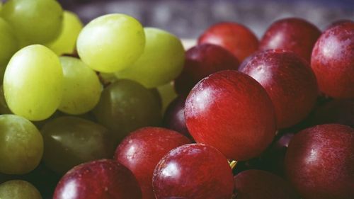 Peru își confirmă poziția de lider mondial în exportul de struguri. Țările europene reprezintă a doua cea mai importantă destinație