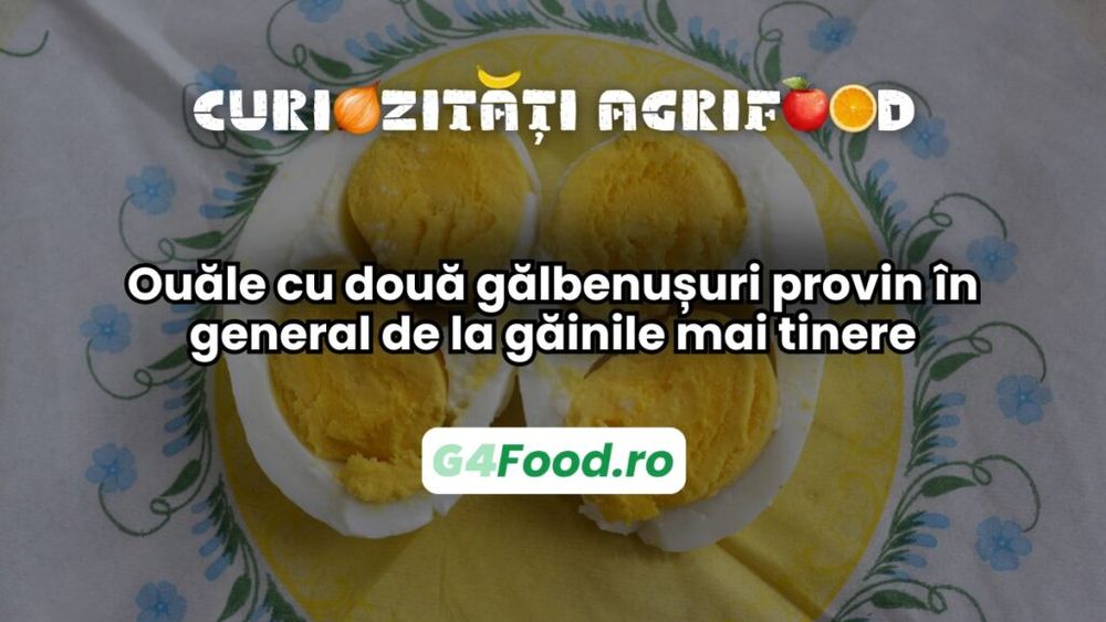 Curiozități agri-food 18 februarie: Ouăle cu două gălbenușuri provin în general de la găinile mai tinere