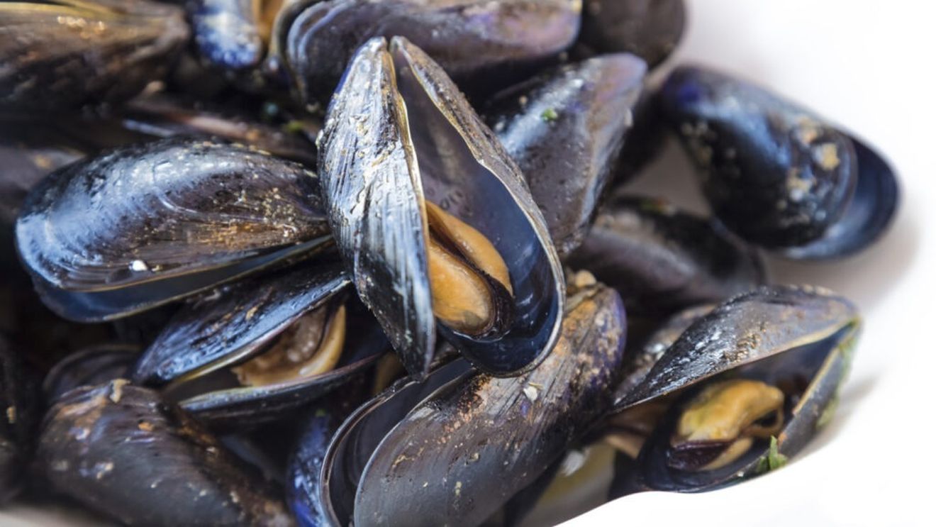 Midiile europene, sufocate de nanoplastice / Un sector de miliarde este în pericol să se prăbușească, iar viitorul alimentației sustenabile e în pericol