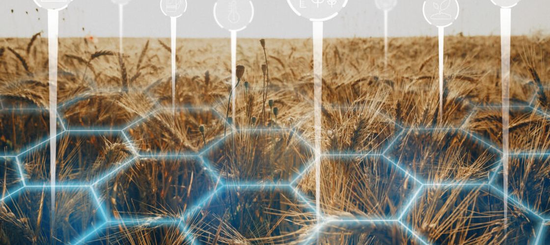 Eurostat: România, Grecia și Cipru, pe ultimele locuri în UE la agricultura de precizie. Doar 43% dintre fermele europene au acces la internet
