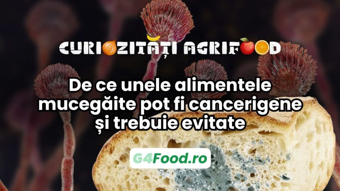 Curiozități agrifood - 25 aprilie: De ce unele alimentele mucegăite pot fi cancerigene și trebuie evitate