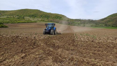 La numai 20 de ani, o tânără din Șipote, jud. Iași conduce o fermă modernă de 1.000 ha/ „Recomand cu drag agricultura doar celor care au pasiune și dedicare”