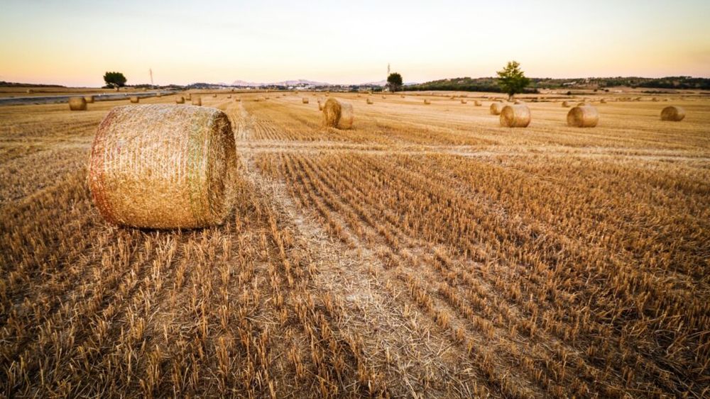 Reuniunea Informală a miniștrilor agriculturii din statele UE, 8-10 septembrie 2024, Budapesta / Participă și ministrul român Florin Barbu