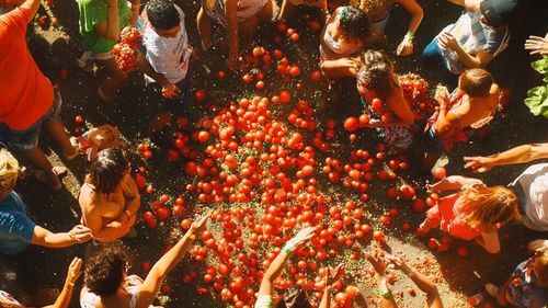 VIDEO | Ce se întâmplă la Tomatina, marea sărbătoare a roșiilor, unde oamenii se bat pe stradă cu tomate/ Anul acesta vor fi „sacrificate” 120.000 de kilograme 
