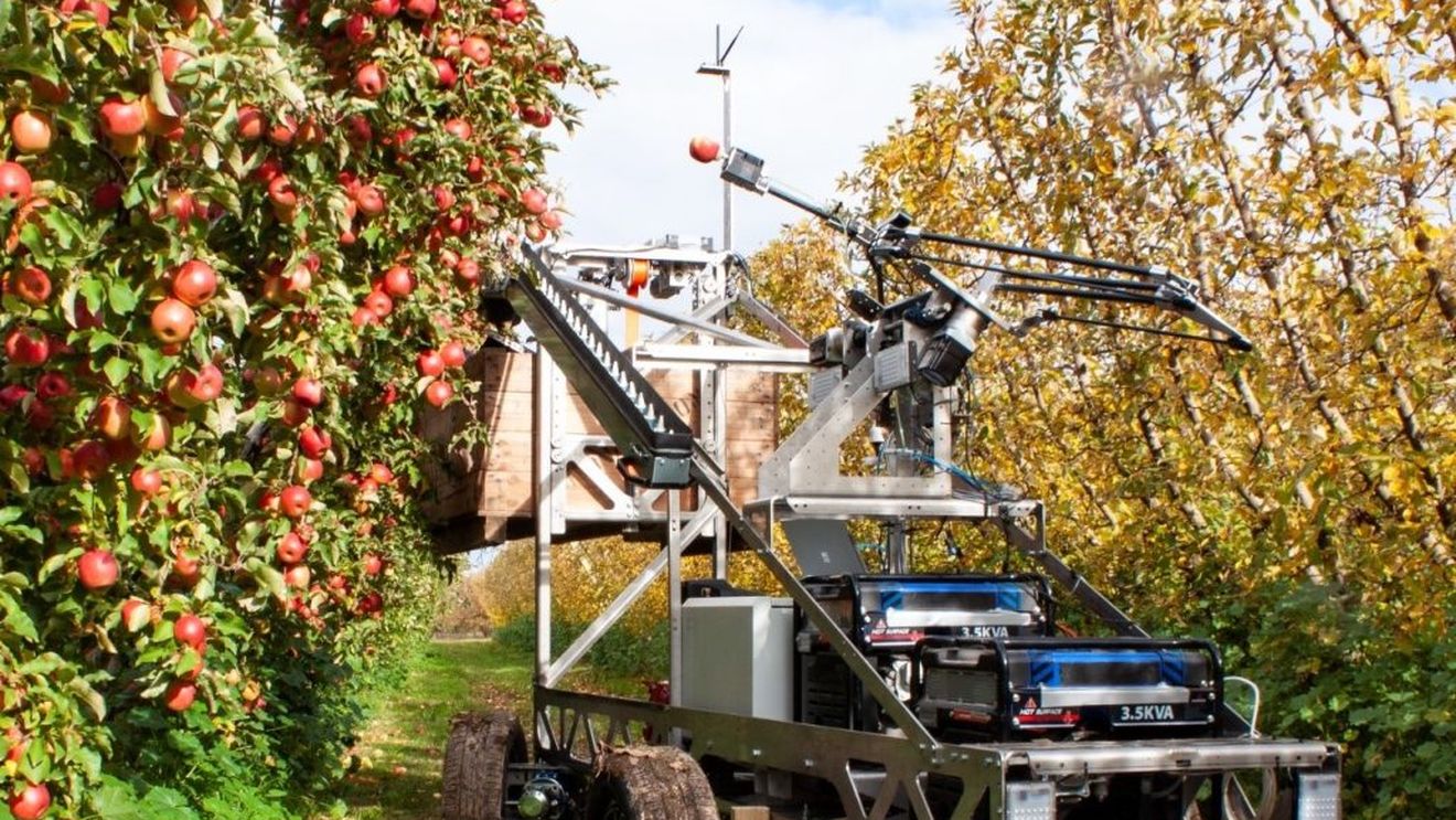 Proiectul ”Eva”, robotul conceput să culeagă fructe mai rapid decât omul; mașina se află, în prezent, în teste, în Australia