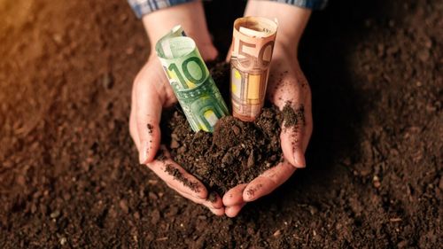 Fermierii bihoreni au atras fonduri europene de 130 milioane de euro prin PAC 2023-2027 / Suma reprezentând 10% din alocarea naţională