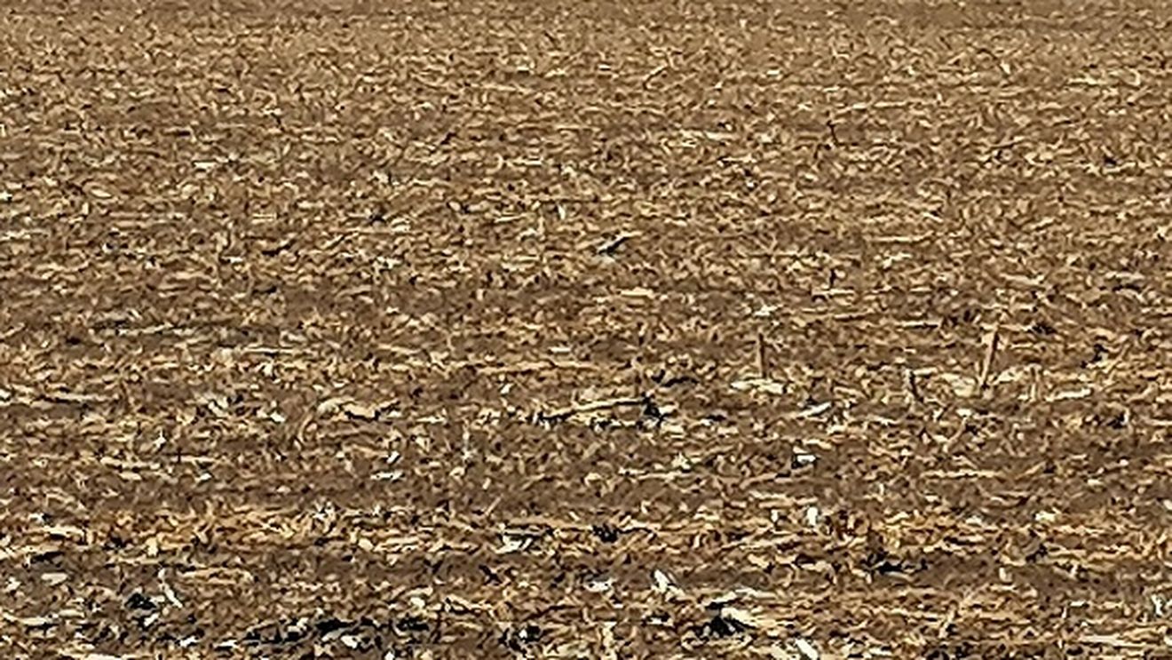 Cine sunt liderii grupului civic de acțiune al fermierilor dobrogeni; unul dintre ei candidează pentru postul de președinte al C.J. Constanța