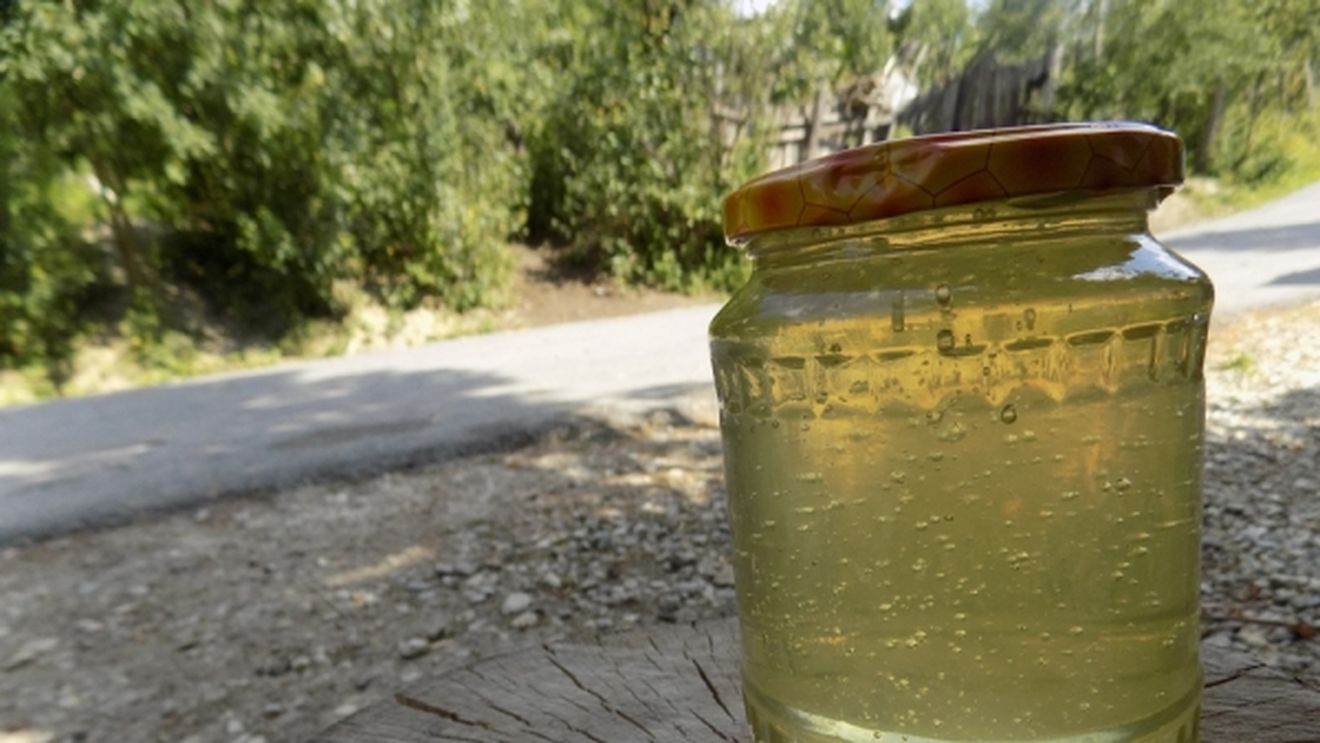 Bugetul european pentru apicultură ar putea fi suplimentat cu 60.000.00 de euro