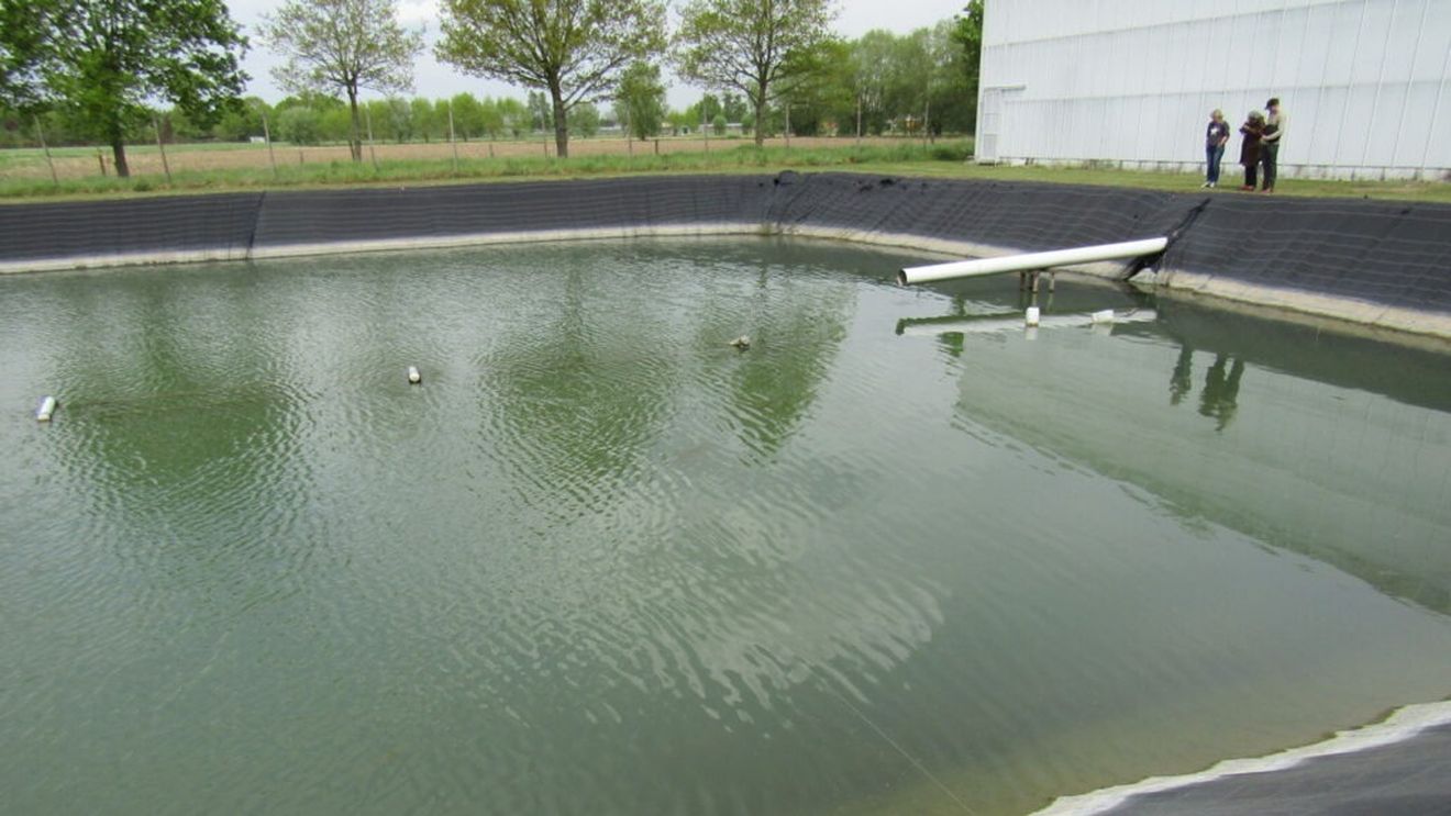 Fermele piscicole pot fi și ferme horticole. Și reciproc! / În mai multe ferme piscicole din Italia, Elveția, dar și SUA, piscicultorii au avut ideea de a folosi apa și pentru a practica agricultura în sistem hidroponic