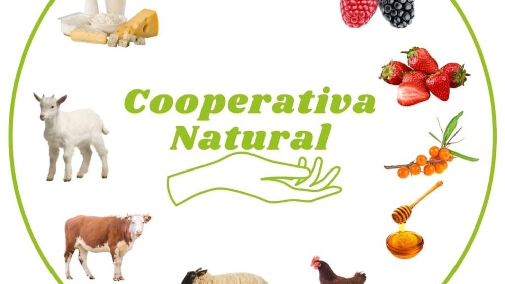 Un tânăr fermier din Iași a optimizat activitatea fermei adăugând pe lângă oi și capre vaci și porci. „Soluția pentru a merge mai departe e o fermă mixtă”