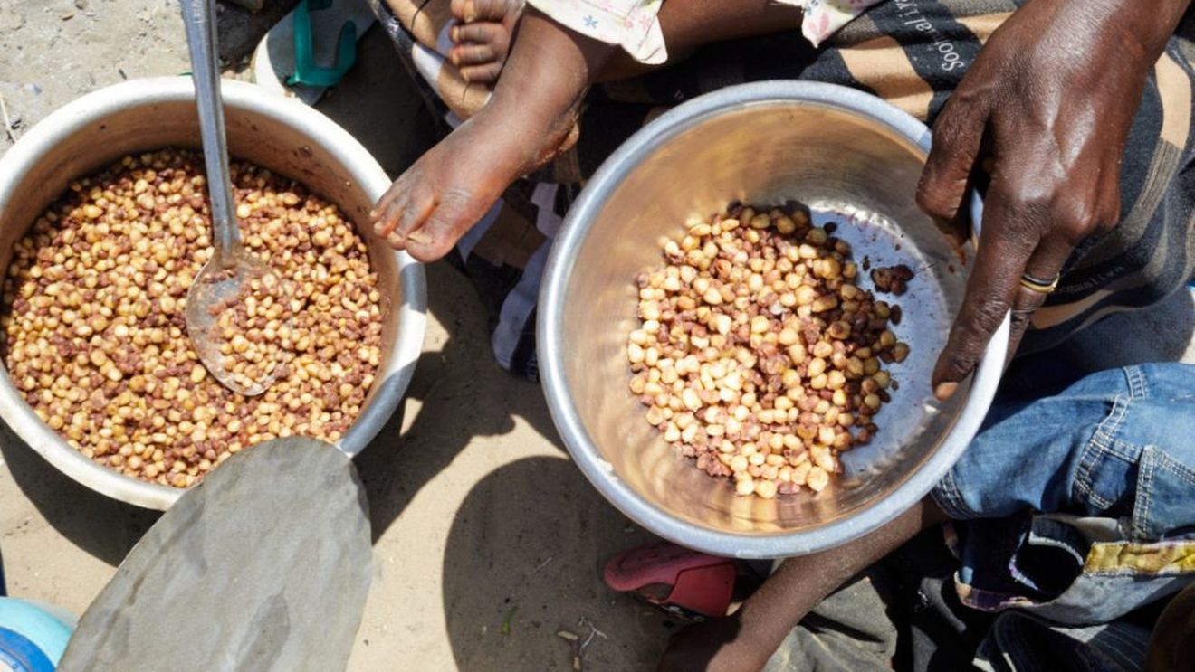 Reducerea ajutorului alimentar către Afganistan şi Yemen, de către administraţia Trump, pune milioane de oameni în pericol, spun surse umanitare