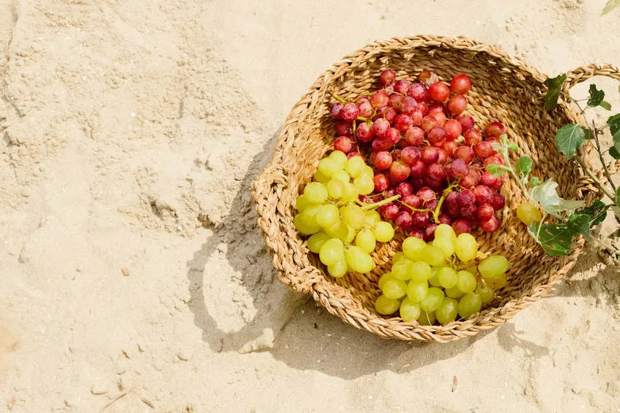 struguri-protectia-pielii-raze-uv-sanatatea-pielii-antioxidanti-alimentatie-sanatoasa-nutritie-studii-stiintifice-protectie-solara-fructe-g4food.