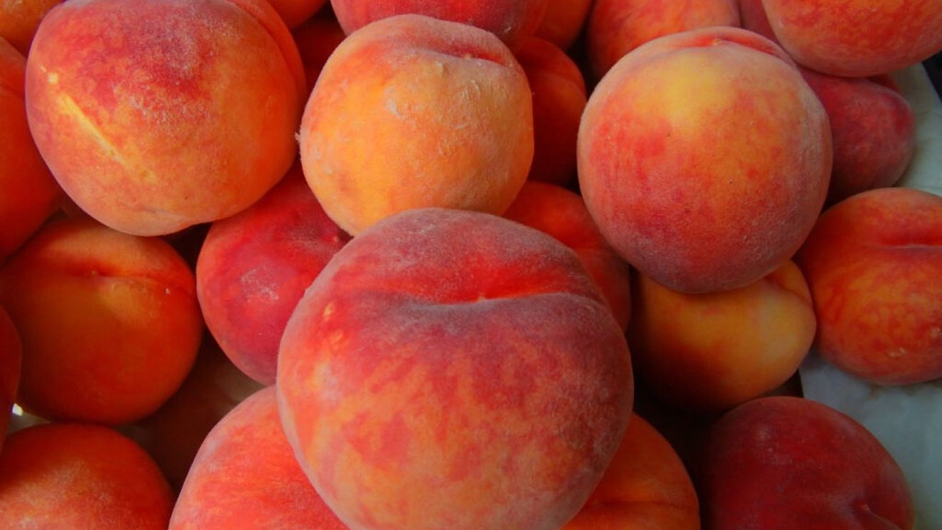 Cum să păstrezi piersicile corect / Sfaturi pentru a evita fructele moi și irosirea lor