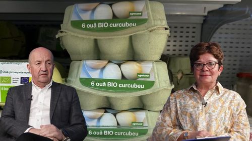 VIDEO | Agricultura în schimbare: Cum a reușit Horia Cardoș, CEO Agroland, să dezvolte un mic imperiu în agribusiness-ul românesc