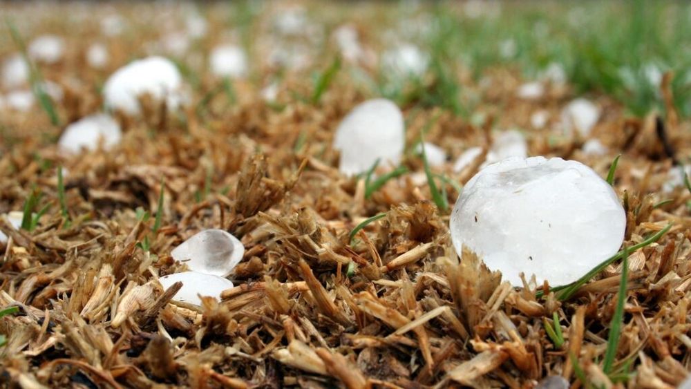 OPINIE Ministerul Agriculturii se apără de criticile privind dezactivarea sistemului antigrindină susținând că fenomenul meteo extrem a provocat pagube în zone din afara razei de acțiune a rachetelor / Ce ar trebui să facă fermierii de cultură mare?