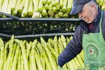De la fermele din Germania la propria plantație din România. Povestea unei afaceri cu sparanghel în Bucovina: „Am început cu patru rânduri de 200 de metri. Acum am ajuns la 3 hectare și jumătate”