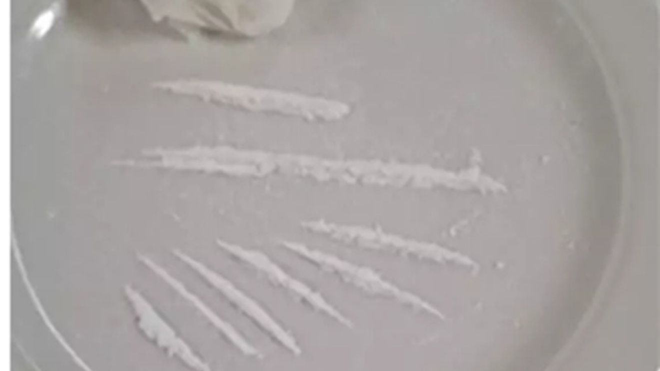 Liniuțe de cocaină, în „meniul” unui restaurant italian / Câinele polițist Barak a depistat depozitul de droguri al chefului: cocaină, ecstasy și hașiș / Bucătarul a fost arestat