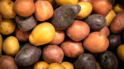 Apelul unui nutriționist pentru menținerea cartofilor la baza piramidei alimentare, care înseamnă consum frecvent, și nu la vârful ei, alături de carne, ouă și brânzeturi. „Sunt un aliment natural, ieftin și accesibil tuturor”