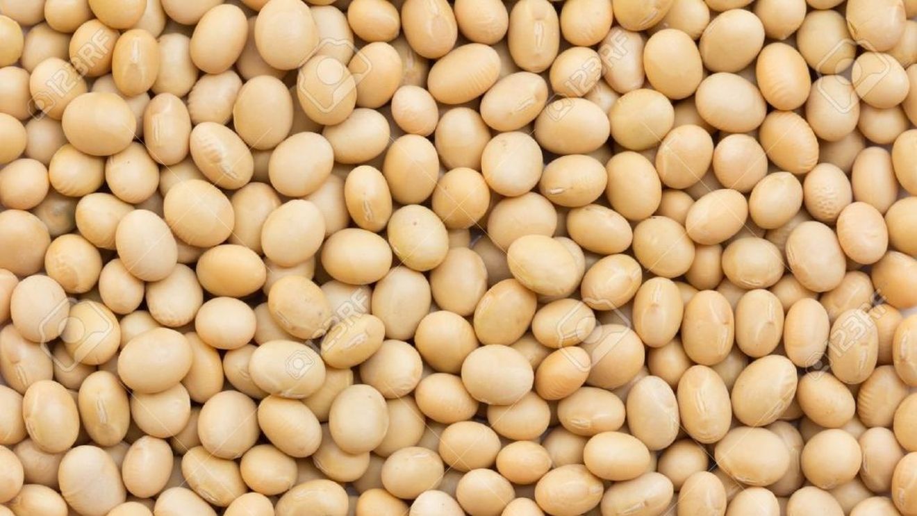 Al doilea război comercial al lui Trump îi va afecta serios pe fermierii americani deoarece, de această dată, China se bazează pe Brazilia