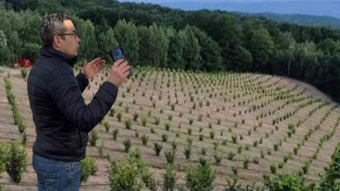 „Au înghețat mugurii de rod la alun” / Fermier din Bihor, afectat de înghețul târziu: „Nu am avut ce să facem. Probabil vor fi scăderi semnificative ale producției față de anii trecuți”