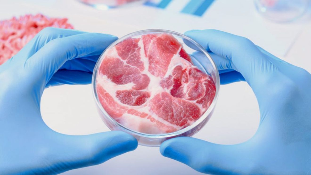 Un producător israelian de carne ”in vitro” solicită certificarea produselor sale în Elveția, prima cerere de acest tip formulată pe continentul european; printre investitori, se numără și actorul Leonardo di Caprio