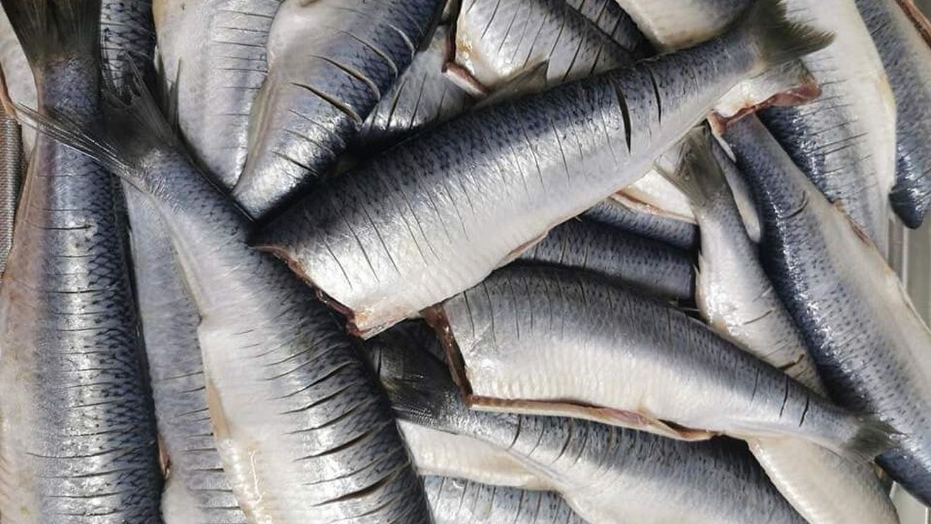 București: Amatorii de preparate din pește pot merge în acest weekend în Parcul Izvor la evenimentul Tradiţii de Florii cu Scrumbii