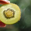 Kiwi-ul verde, primul fruct proaspăt pentru care UE autorizează o mențiune de sănătate privind funcția intestinală / Decizia vine după mai mulți ani de cercetări și evaluări științifice