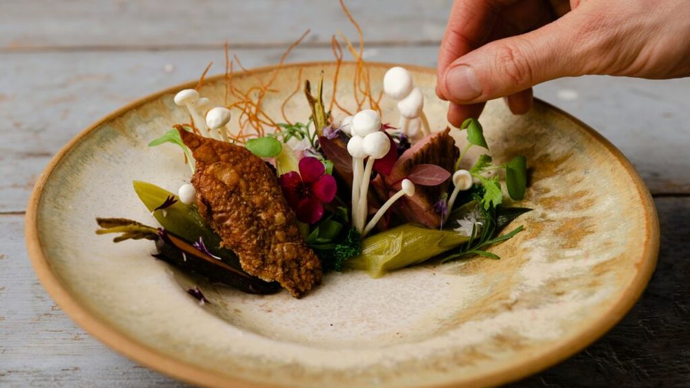 Cea mai fericită țară din lume caută 16 voluntari pentru o experiență gastronomică gratuită în Laponia și pe coastele nordice