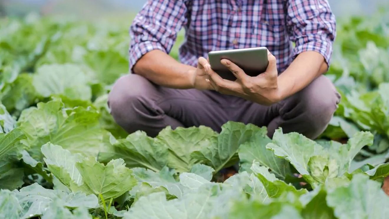 Agricultura durabilă, dezvoltarea infrastructurii sustenabile şi oraşelor inteligente, printre temele celui de-al XXX-lea eveniment al seriei „Împreună protejăm România”