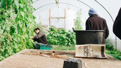 Manuale digitalizate și schimburi de experiență în alte țări europene pentru elevii din liceele agricole/Proiectele vor fi finanțate și de Ministerul Agriculturii