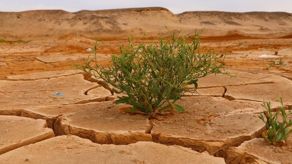 România se „usucă”: 10% din terenul arabil, amenințat de deșertificare, din cauza schimbărilor climatice