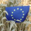 România a obținut acceptul UE pentru continuarea ajutoarelor naționale tranzitorii după 2027 / Ce alte schimbări propune pentru viitoarea Politică Agricolă Comună