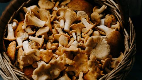 Dâmboviţa: Număr în creştere al celor care se prezintă la Spitalul Judeţean Târgovişte cu intoxicaţii provocate de ciuperci