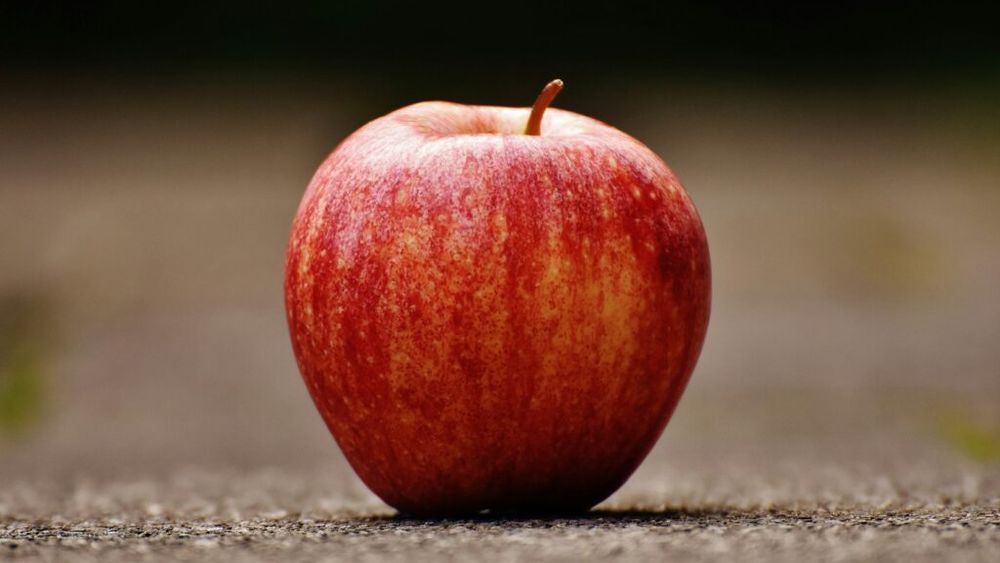 Autorităţile din Tulcea ar dori să dea fructe elevilor şi preşcolarilor, dar limitele valorice zilnice fixate de lege sunt restrictive/ Licitația va fi reluată