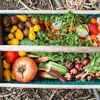 7 legume și plante aromatice pe care e mai ieftin să le cultivi acasă decât să le cumperi / Ce culturi îți pot reduce cheltuielile la supermarket