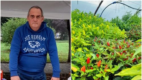 VIDEO | Fermier cu valoare adăugată: Cum a ajuns familia Lăzărean din Sibiu să vândă „Bunătăți din grădină” / Pentru a-și asigura independența în agricultură, au construit un solar destinat producției de răsaduri