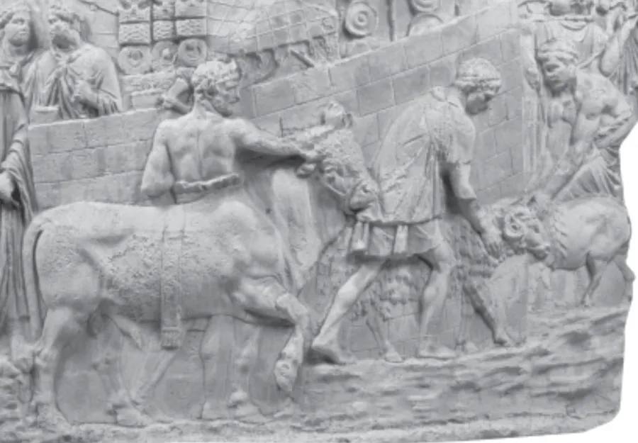 Taurul, oaia și porcul, animale pentru sacrificiu / Sursa foto: G4Food