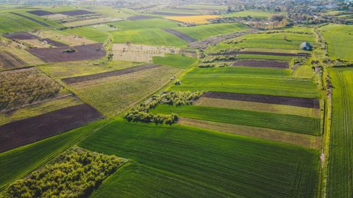 Cum va fi vremea/ Specialiștii recomandă accelerarea lucrărilor de semănat pentru culturile de primăvară
