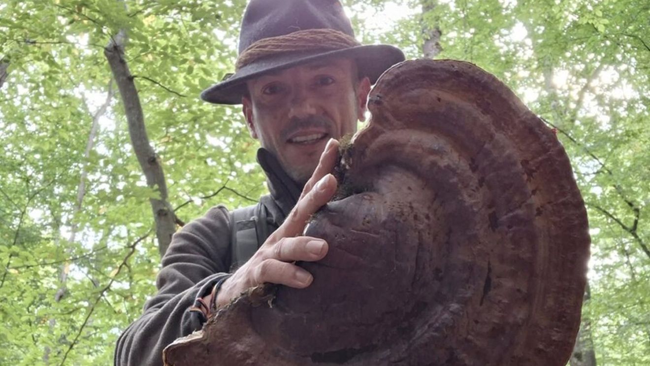 FOTO | Tai ciuperca sau o scoți întreagă din pământ? / Cum se culeg și se păstrează corect ciupercile de pădure / Florin Bustan explică de ce coșul de nuiele este cea mai bună alegere